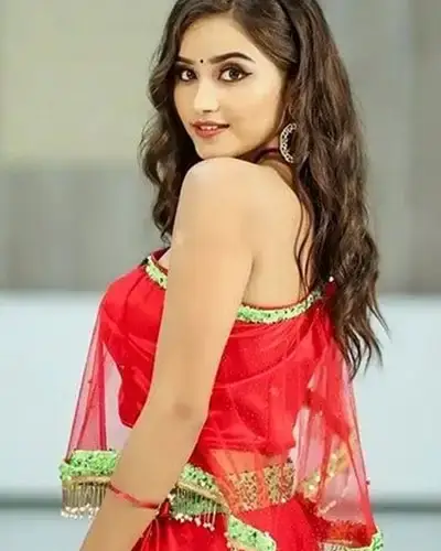 Call Girls Service Vadakara